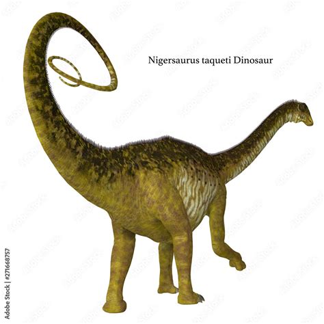 Nigersaurus Dinosaur