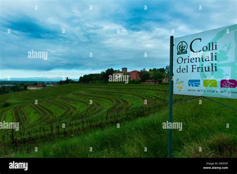 a view of vineyards of Collio hills Stock Photo - Alamy