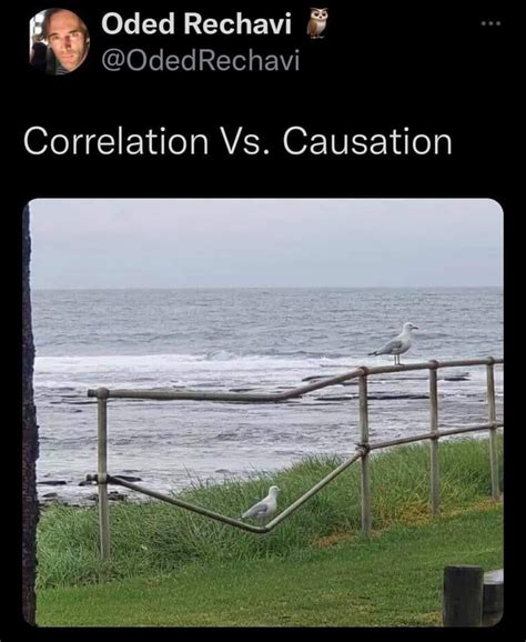 This Is Why Correlation Doesn T Always Equal Causation Gag