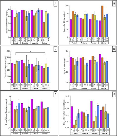 Morphometric Analyses Subdivided According To The Anatomical Region A