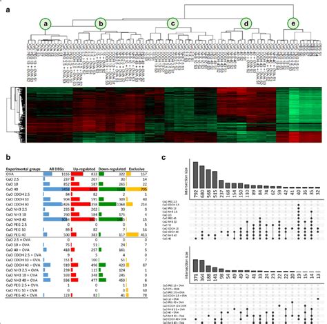 Differential Gene Expression Analysis A Heat Map Of Top 500