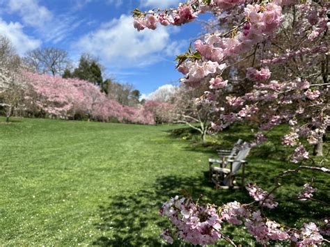 Teaching Spotlight :: Teaching & Learning Commons :: Swarthmore College