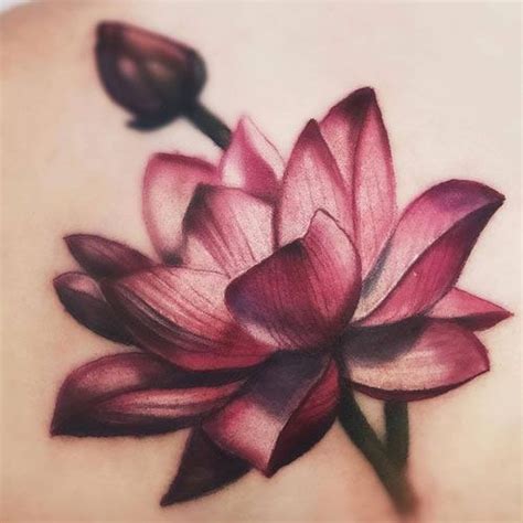 Top More Than Water Lily Vs Lotus Tattoo Latest In Coedo Vn