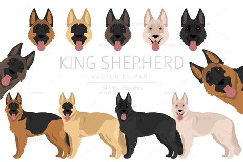 King Shepherd clipart