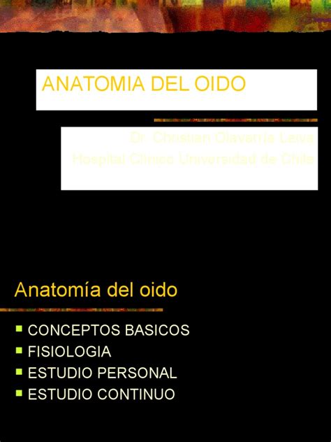 PDF Anatomia Del Oido DOKUMEN TIPS