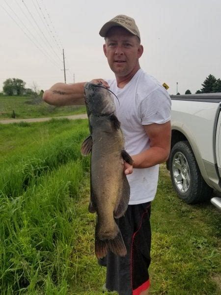 Another 20 Lb Channel Cat Catfish Angler Forum At USCA