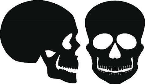 Human Skull Profile Illustrations Royalty Free Vector Graphics And Clip