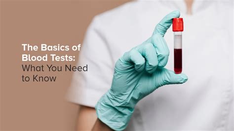 Accurate Blood Tests From Ampath Unlock Your Health Potential