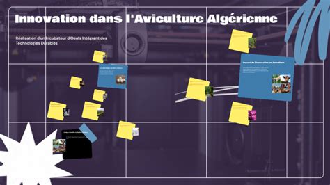 Innovation dans l Aviculture Algérienne by Aya fatima zohra Boughazi on