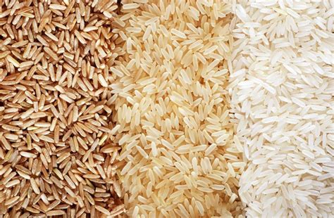 sadiq rice mill