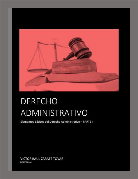 DERECHO ADMINISTRATIVO PARTE I By VICTORZARATE1 Issuu