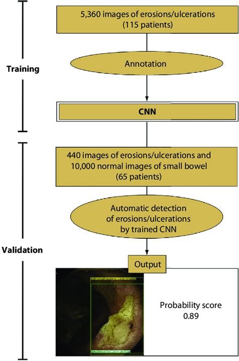 Flowchart Of The Study Design Cnn Convolutional Neural Network