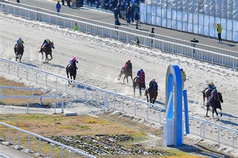 笠松競馬場 第12回笠松競馬「ネクストスター笠松シリーズ」の全6日間が終了しました。 ご投票ご観戦、誠にありがとうございました！ 第13回