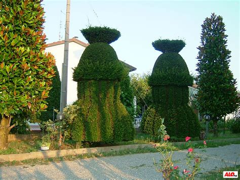 автоматезирани поливни системи | Помпи, поливни системи | Сливен ...