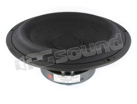 Scan Speak 21W 8555 10 Woofer 22 Cm Impedenza 8 Ohm Altoparlanti Ho