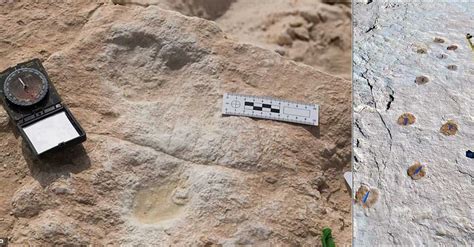 Ancient Human Footprints Unearthed Tracing The Journey Of Early