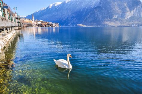 Salzkammergut 2022 Top Things to Do - Salzkammergut Travel Guides - Top ...