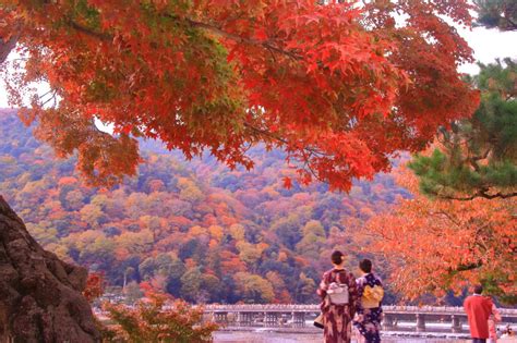 【京都の紅葉】名所から穴場スポットまで30選！ライトアップ情報も Veltra旅行ガイド