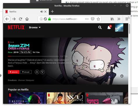 Ahora Puedes Usar Netflix En Ubuntu