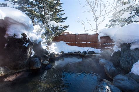 The Green Leaf Niseko Village | Powder Holiday