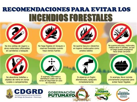 Recomendaciones Para Evitar Incendios Forestales