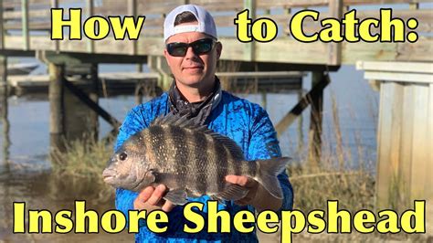 How To Catch Sheepshead Inshore Grand Slam Youtube