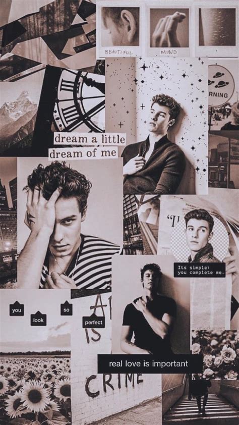 Shawn Mendes Collage Aesthetic Wallpapers Wallpaper Cave