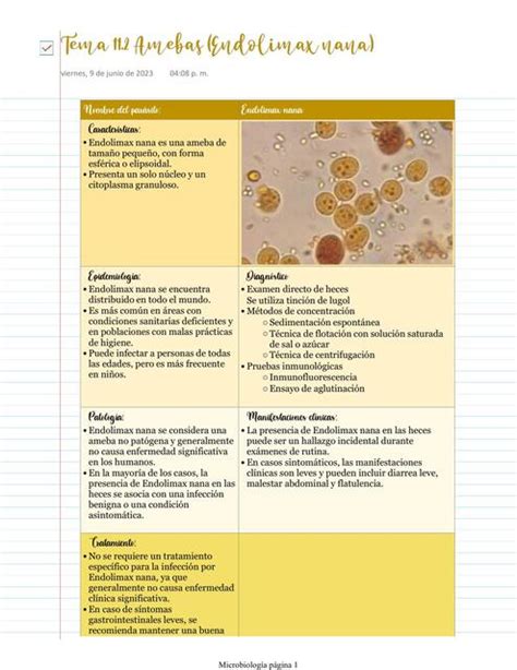 Amebas Endolimax Nana Tania Udocz