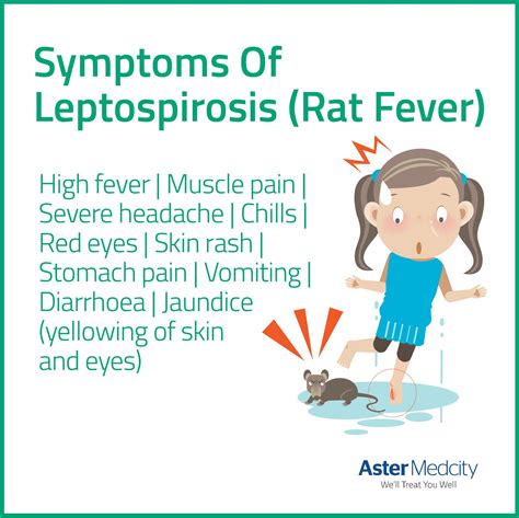 leptospirosis symptoms in humans - Julia Campbell