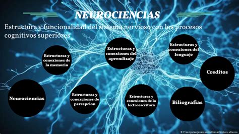 Neurociencias By Luis Fabian Patricio Marroquin On Prezi