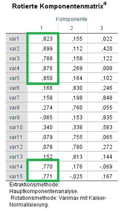 Faktorenanalyse Mit Spss Einfach Erkl Rt Novustat