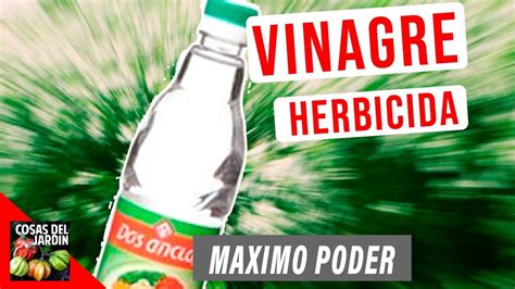 Vinagre El Mejor Herbicida Del Mundo Usar Vinagre Para Eliminar Malas