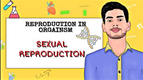 Sexual Reproduction Reproduction In Organism Class 12 Biology