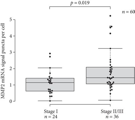 Box And Whisker Plot Showing The Association Of Mmp2 Mrna Expression