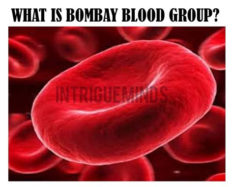 The Bombay Blood Group