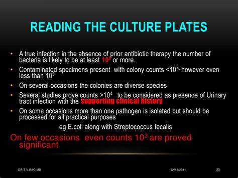 Ppt Interpretation Of Urine Cultures Powerpoint Presentation Free