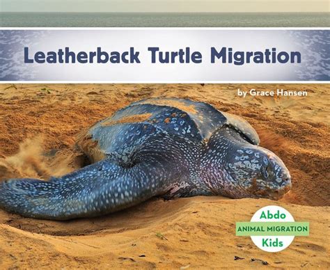 Leatherback Turtle Migration by Grace Hansen, Hardcover | Barnes & Noble®