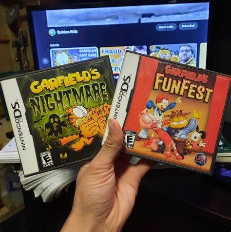 My Garfield Ds Games Rquintonreviews