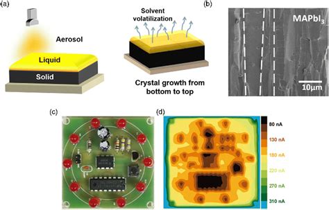 Halide Perovskites For Sensitive Stable And Scalable X Ray Detection