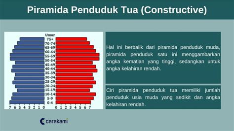 Piramida Penduduk Indonesia Pengertian Fungsi Jenis Gambar