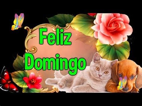 Buenos D As Feliz Domingo Primer Saludo De Buen Dia Este Mensaje Te