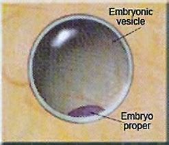 Microscopic size;