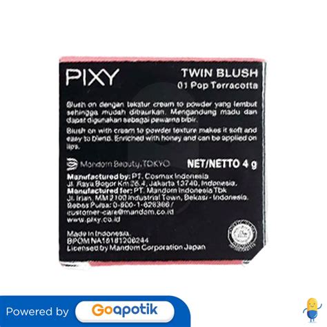 Ulasan Produk Pixy Twin Blush Pop Terracotta Gram