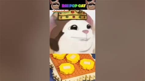 Roi Pop Cat Prépare Un Sandwich Youtube