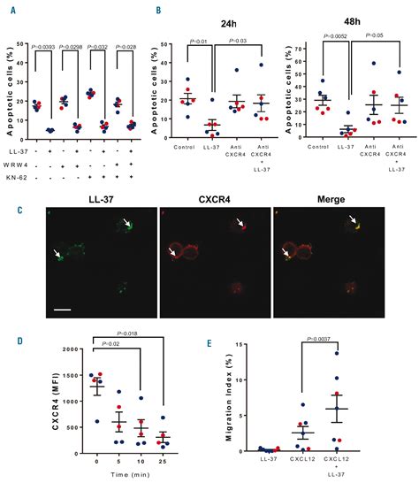 Expression And Function Of Cathelicidin Hcap18ll 37 In Chronic