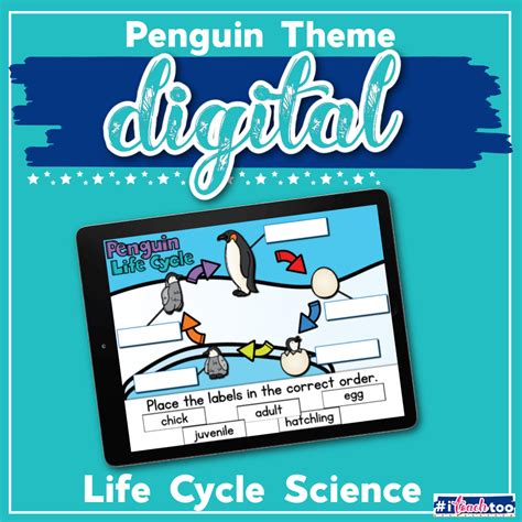 Digital Diagram of a Life Cycle of a Penguin Activity - I Teach Too