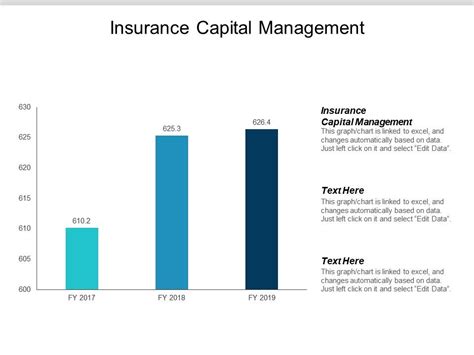 Insurance Capital Management Ppt Powerpoint Presentation Summary Themes