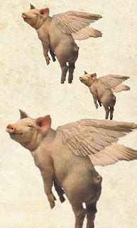 Shukernature Flying Pigs In Pursuit Of Pigasus And Other Porkers On