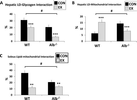 Lipid Droplet Lds Association With Mitochondria And Glycogen A