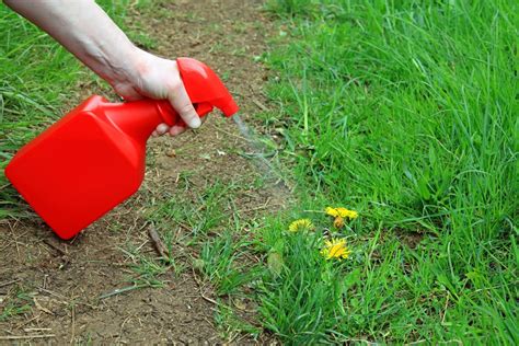 9 Natural Weed Killers That Actually Work — Best Life